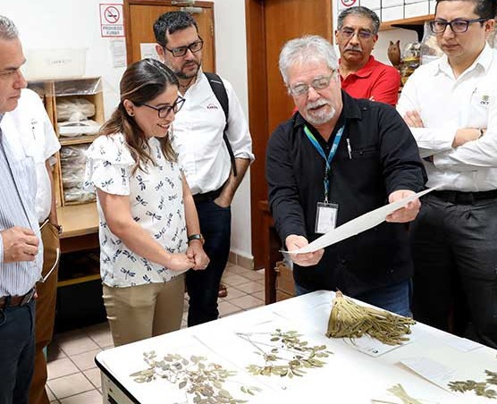 Kekén contribuye en la preservación ambiental y flora de Kinchil Yucatán