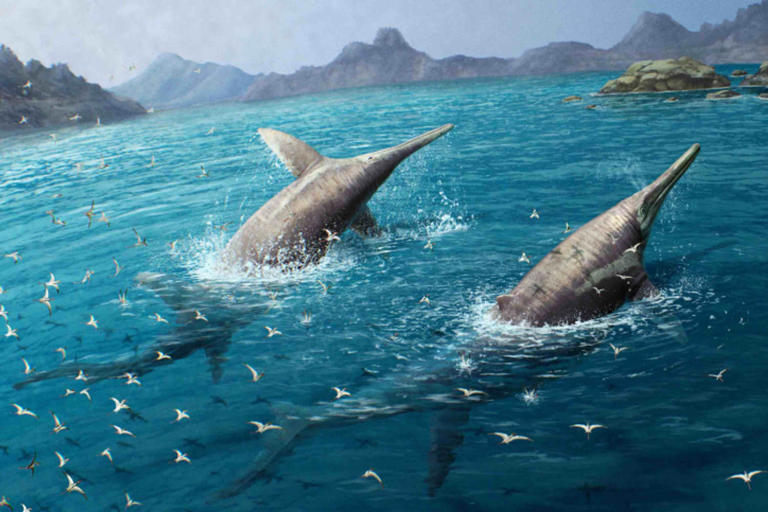 Descubren un salmón prehistórico