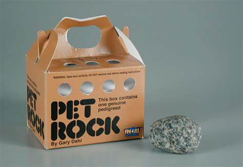 Coreanos adoptan piedras como mascotas