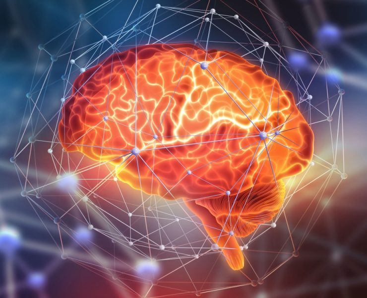 Harvard y Google mapean el cerebro