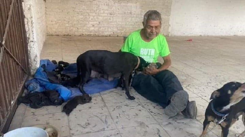 Abuelito pide ayuda para cuidar a su perrita y cachorros recién nacidos
