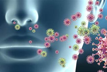 Nuevo León confirmó casos de HMPV: ¿Alerta sanitaria?