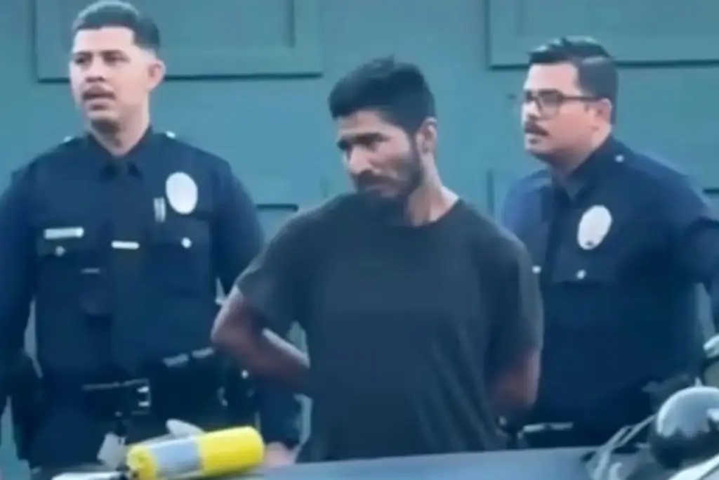 Impacto de los incendios forestales en Los Ángeles