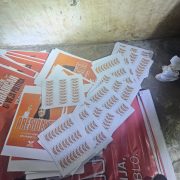 Decomisan propaganda política