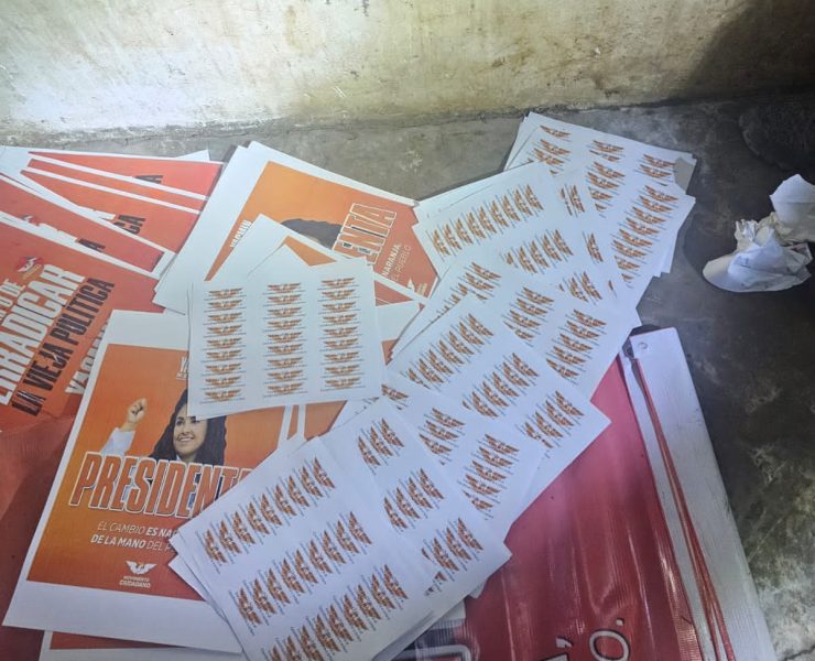 Decomisan propaganda política