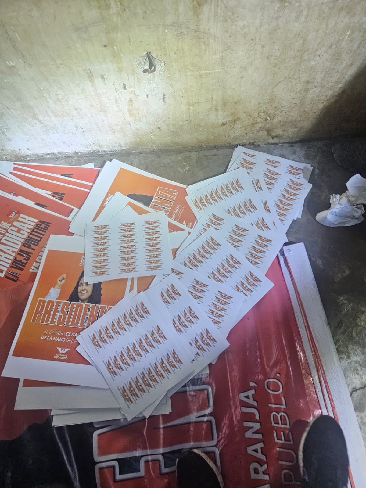 Decomisan propaganda política