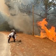 incendios forestales