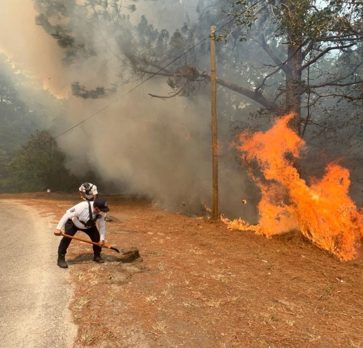 incendios forestales
