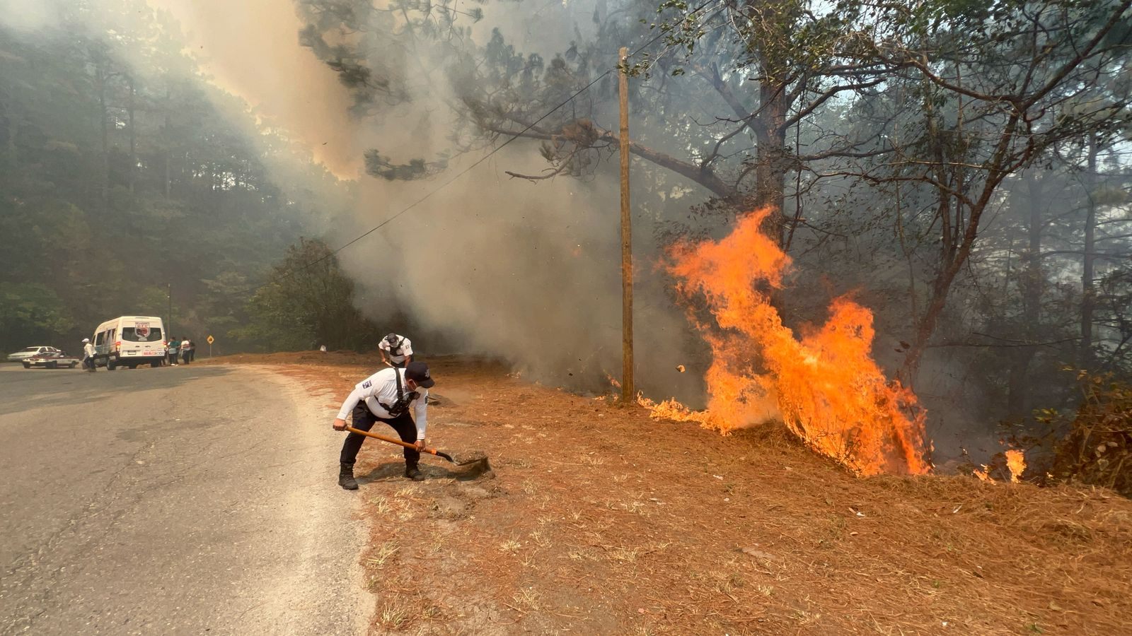 incendios forestales
