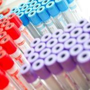 Empresas ligadas al cártel de la sangre