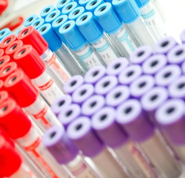 Empresas ligadas al cártel de la sangre